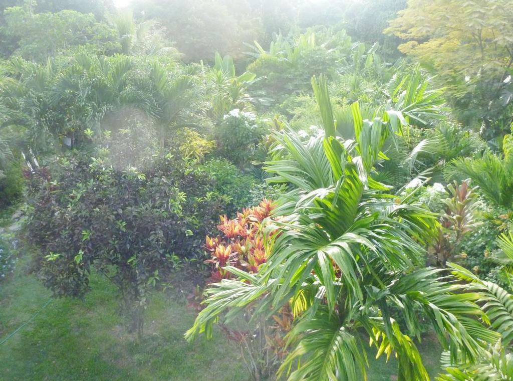La Batie Selfcatering Apartment Beau Vallon  Kültér fotó